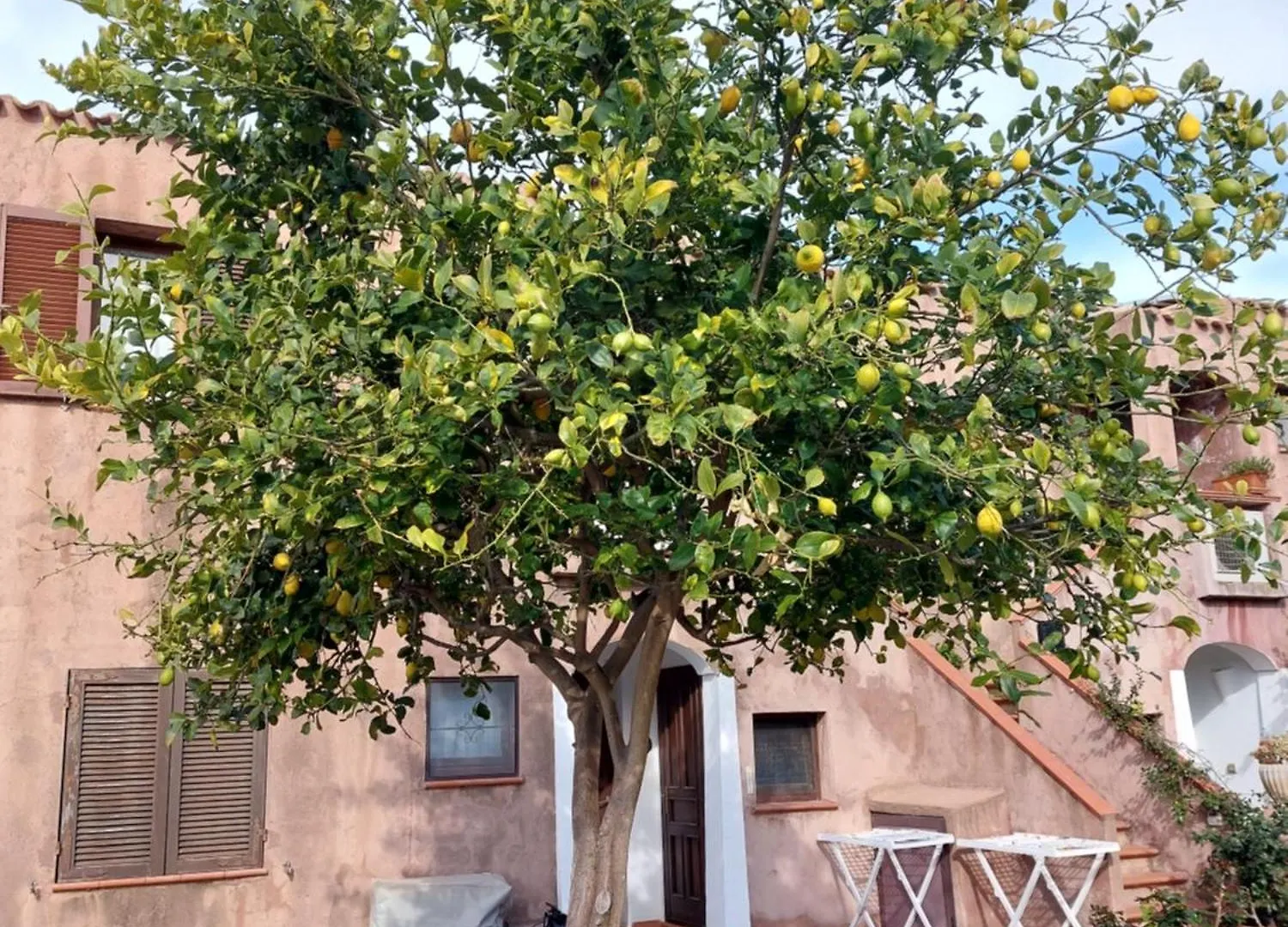 Holiday home 